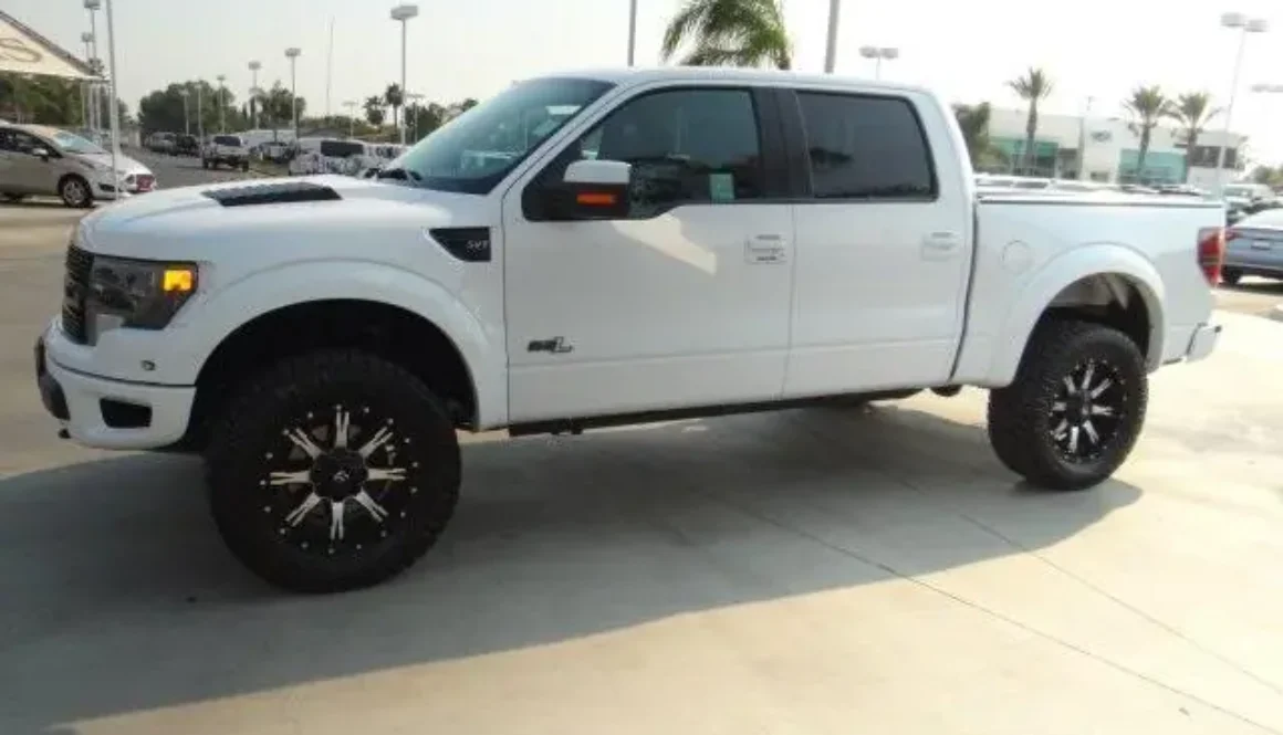 Custom Raptor For Sale